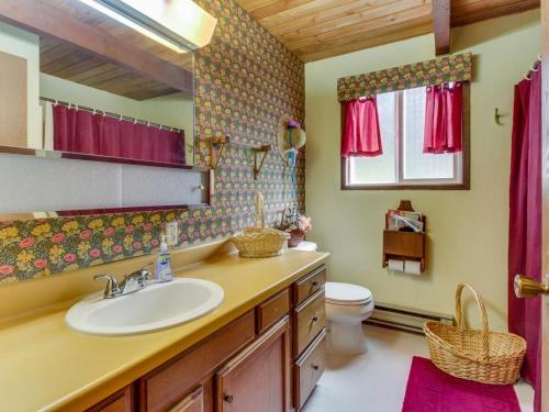 a bathroom with a sink and a toilet at The Chalet on Lopez in Islandale