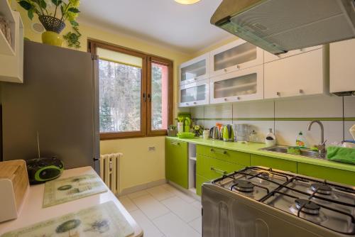 Kuchyňa alebo kuchynka v ubytovaní Apartament Sniezna Sowa