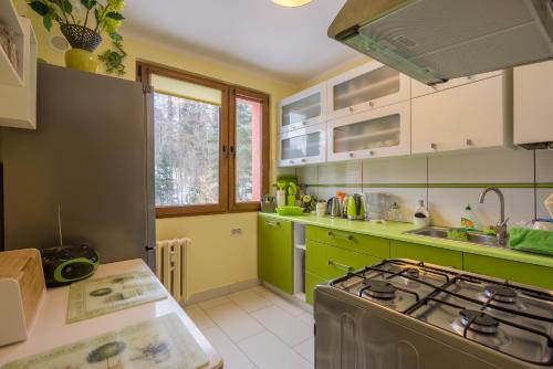 シュクラルスカ・ポレンバにあるApartament Sniezna Sowaのキッチン(緑のキャビネット、コンロ付)