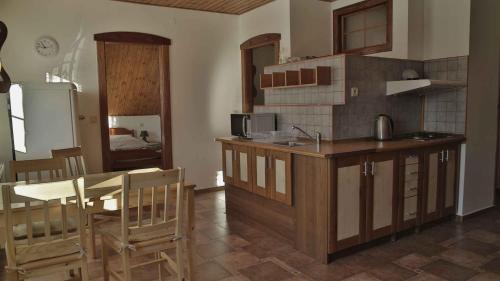 a kitchen with a counter and a table in a room at Penzion Ostruznik in Ostružná