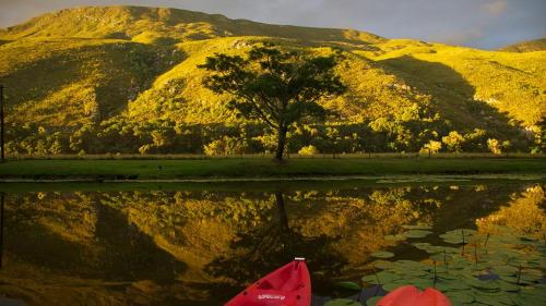 a reflection of a mountain with a tree in the water at Somerset Gift Getaway Farm in Swellendam