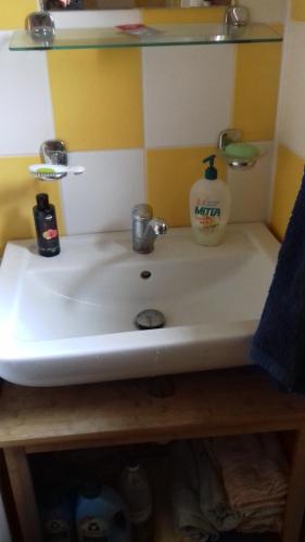 a bathroom sink with a soap dispenser on it at Chata Zahrada Madeta in Veselí nad Lužnicí