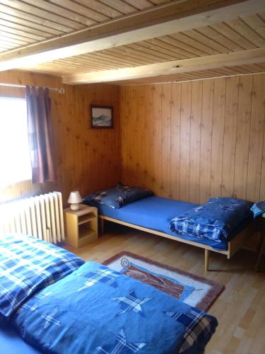 a room with two beds in a wooden room at Pension Panorama in Tanvald