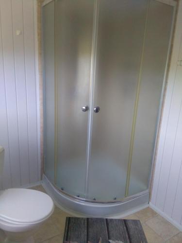 a bathroom with a shower with a toilet and a rug at Pension Panorama in Tanvald