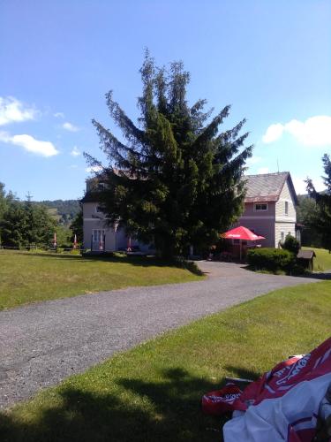 a tree on the side of a road next to a house at Pension Panorama in Tanvald