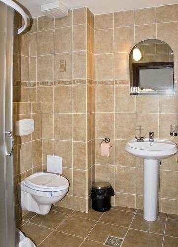 a bathroom with a toilet and a sink at Hanul Domnesc in Braşov