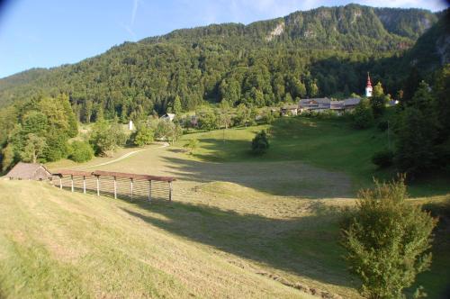 a large grassy field with a barn in front of a mountain at Chalet ApArt Kupljenik 12 A, Bled in Bohinjska Bela