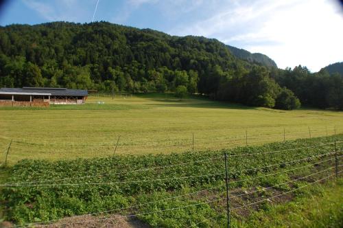 a field with a fence in front of a mountain at Chalet ApArt Kupljenik 12 A, Bled in Bohinjska Bela