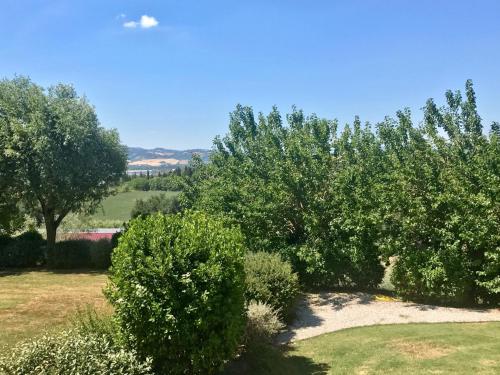 a group of trees in a yard with grass at Badia Agriturismo in La Torraccia