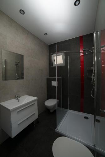 a bathroom with a shower and a toilet and a sink at Flaming - domki letniskowe in Rowy