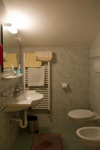 a bathroom with a sink and a toilet at Berggasthof Stern in Predoi