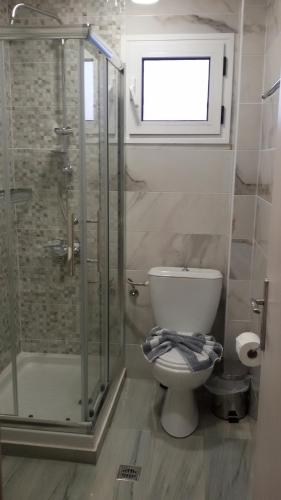 a bathroom with a toilet and a shower and a window at Ourania Studios in Sami