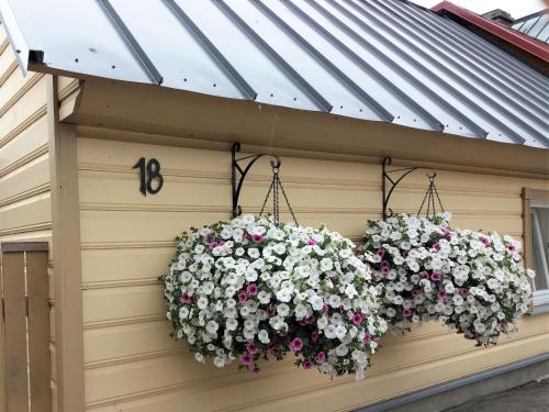 two flower baskets hanging on the side of a garage at Koidula Pesa in Haapsalu