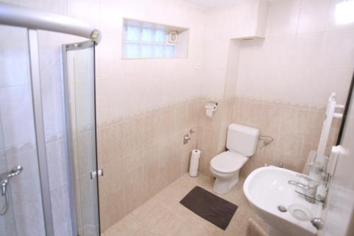 ブダペストにあるd.FIVE Inspire Apartment Budapestのバスルーム(トイレ、洗面台、シャワー付)