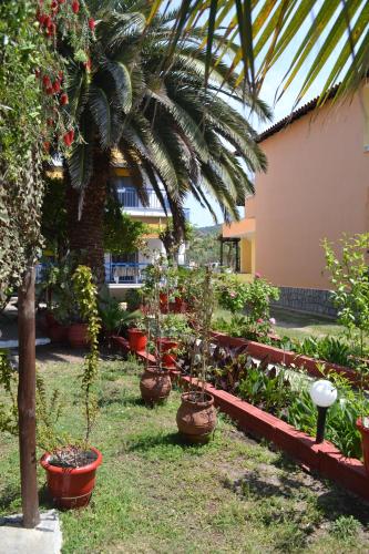 a garden with potted plants and a palm tree at House Souzanna in Toroni