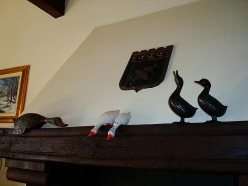 a group of birds sitting on top of a fireplace at B&B Castello di Camerletto in Caselette