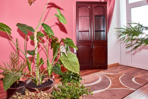 Gallery image of Hotel Art-Seg in Akhalk'alak'i
