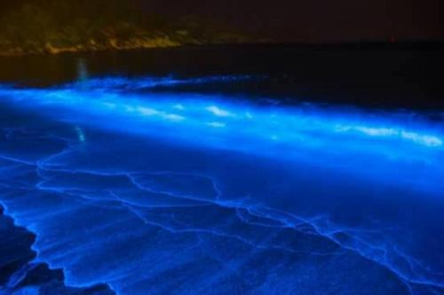 a close up of a pool of blue water at B&B of Blueshine in Beigan