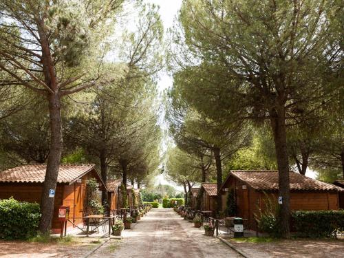 a dirt road lined with trees and houses at Green Village Assisi in Assisi