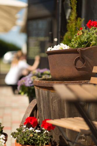 a couple of potted flowers on a wooden fence at Vetsi Talli Holiday Village in Kassari