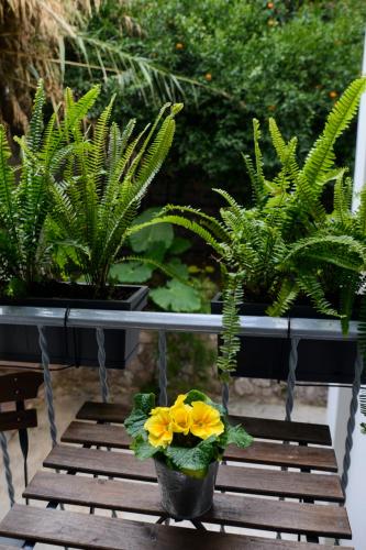 Your "Home Away from Home" in Acropolis