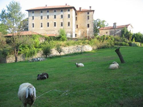 a group of sheep laying in a field in front of a building at B&B Castello di Camerletto in Caselette