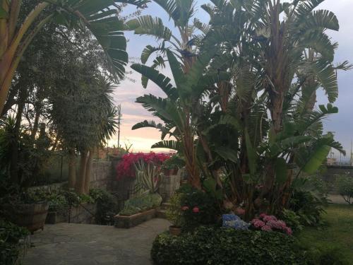 Taman di luar Bella Sorrento B&B