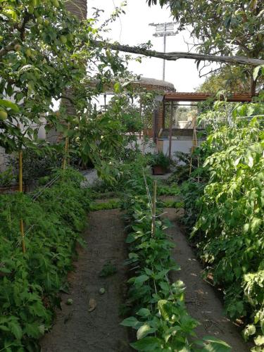 Taman di luar Bella Sorrento B&B
