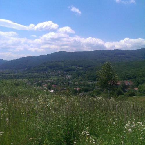 a field of grass with mountains in the background at Homestay Khomenko in Perechin