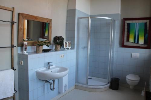 a bathroom with a shower and a sink at Lindstedter Gutsstuben in Gardelegen