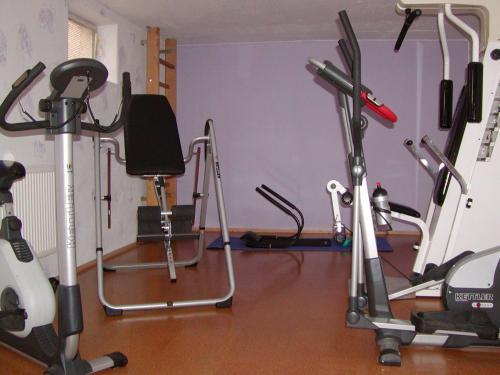 a gym with several exercise equipment in a room at Birkholmhof in Bärnau