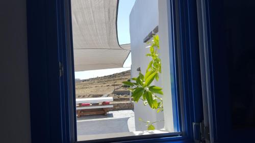 a window with a view of a field through it at Magic Krios in Parikia