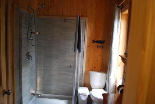uma casa de banho com um chuveiro, um WC e um lavatório. em Auberge de la Rivière Matapédia - Matapédia River Lodge em Routhierville