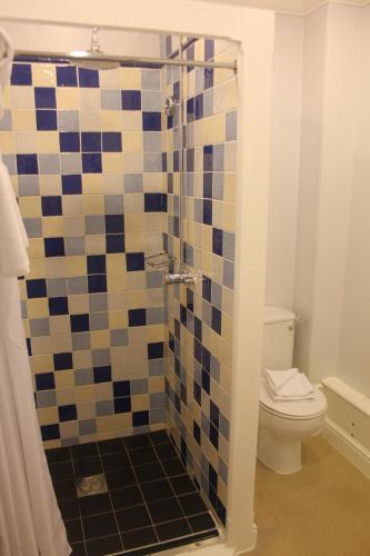 a bathroom with a shower with a toilet at Nant Ddu Lodge Hotel & Spa in Merthyr Tydfil