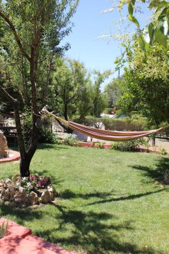 a hammock hanging from a tree in a yard at Dendrolivano in Minia