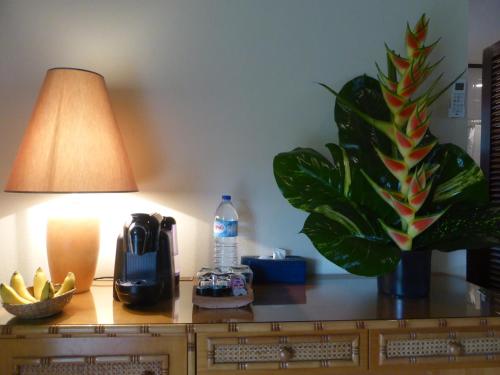 a table with a lamp and a plant on it at Club Santana Beach & Resort in Santana