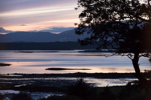 a large body of water with a tree in the foreground at Ardtorna in Benderloch