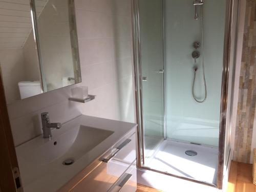 une salle de bain avec un lavabo et une douche avec un miroir dans l'établissement Le Penty, à Landévennec