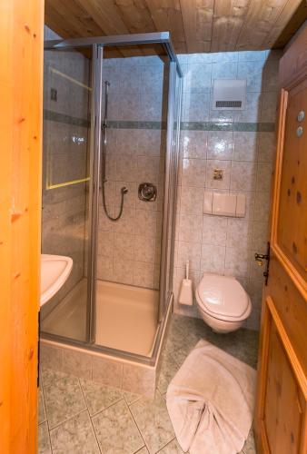 a bathroom with a shower and a toilet at Haus Alpenblick in Ehrwald