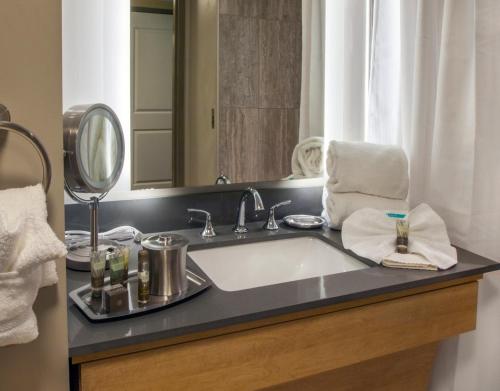 a bathroom with a sink and a mirror at Hotel Ithaca in Ithaca