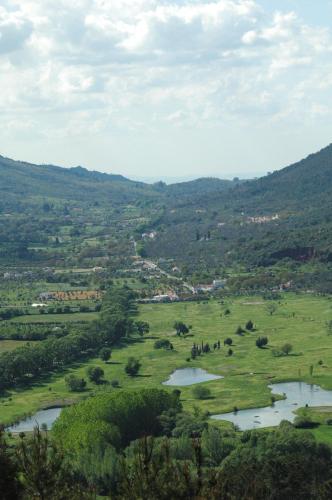 Landskap semula jadi dekat dengan penginapan di ladang