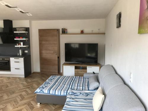 TV/Unterhaltungsangebot in der Unterkunft Ferienhaus Grobauer II