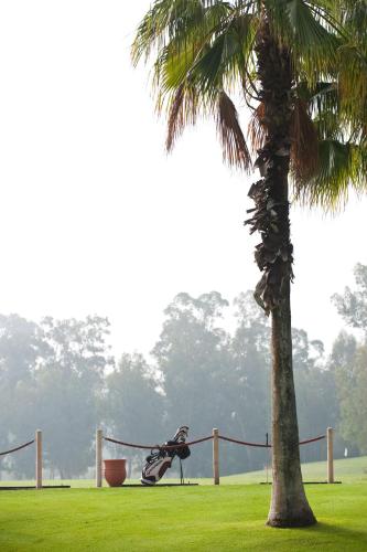 a motorcycle parked next to a palm tree at Dar Maktoub in Agadir