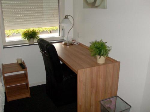 an office with a desk with two potted plants on it at Hotel Restaurant de Sleutel in Riethoven