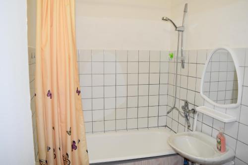 アルハンゲリスクにあるApartment on Ploshchad Lenina 3のバスルーム(シャワー、シンク付)