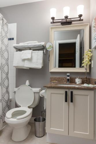 a bathroom with a toilet and a sink and a mirror at Mountain Side Condo Loft at The Blue Mountains in Blue Mountains