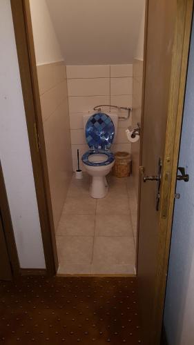 a bathroom with a toilet with a blue seat at Pension-Puttlachtal in Pottenstein
