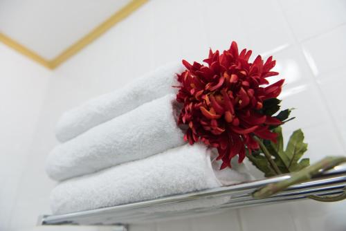 a pile of towels and a red flower on a shelf at The Lush in Willemstad