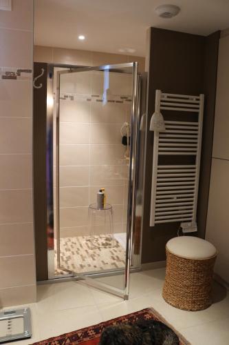 une douche avec une porte vitrée dans une salle de bain dans l'établissement Les Toits De Vaison, à Vaison-la-Romaine