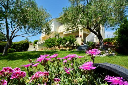 Gallery image of Apartments Andreja in Kožino